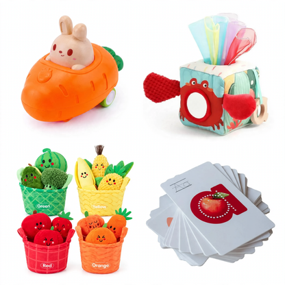 7–12 Month Baby Move & Explore Kit