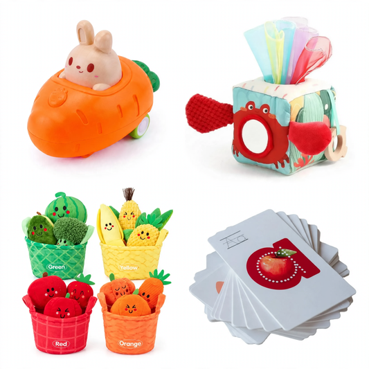 7–12 Month Baby Move & Explore Kit