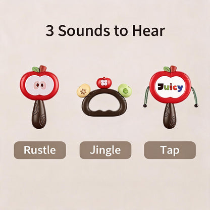 3 sounds of rattle shaker grasping toy 